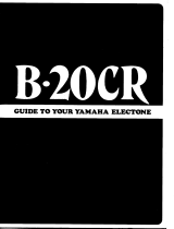 Yamaha B20CR Omistajan opas