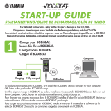 Yamaha BF-1 Startup Manual